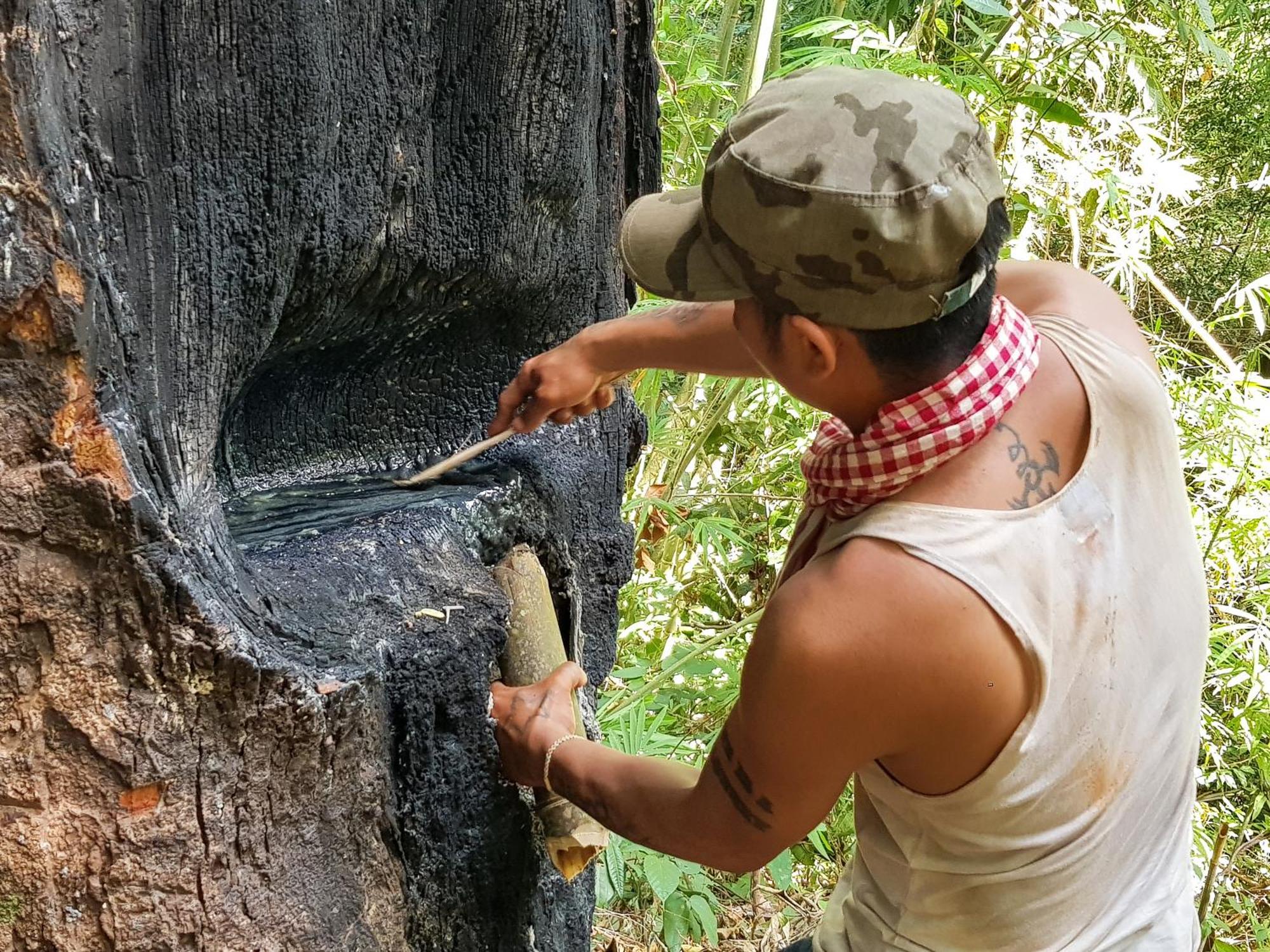 Ratanakiri Homestay & Jungle Trek Banlung Ngoại thất bức ảnh