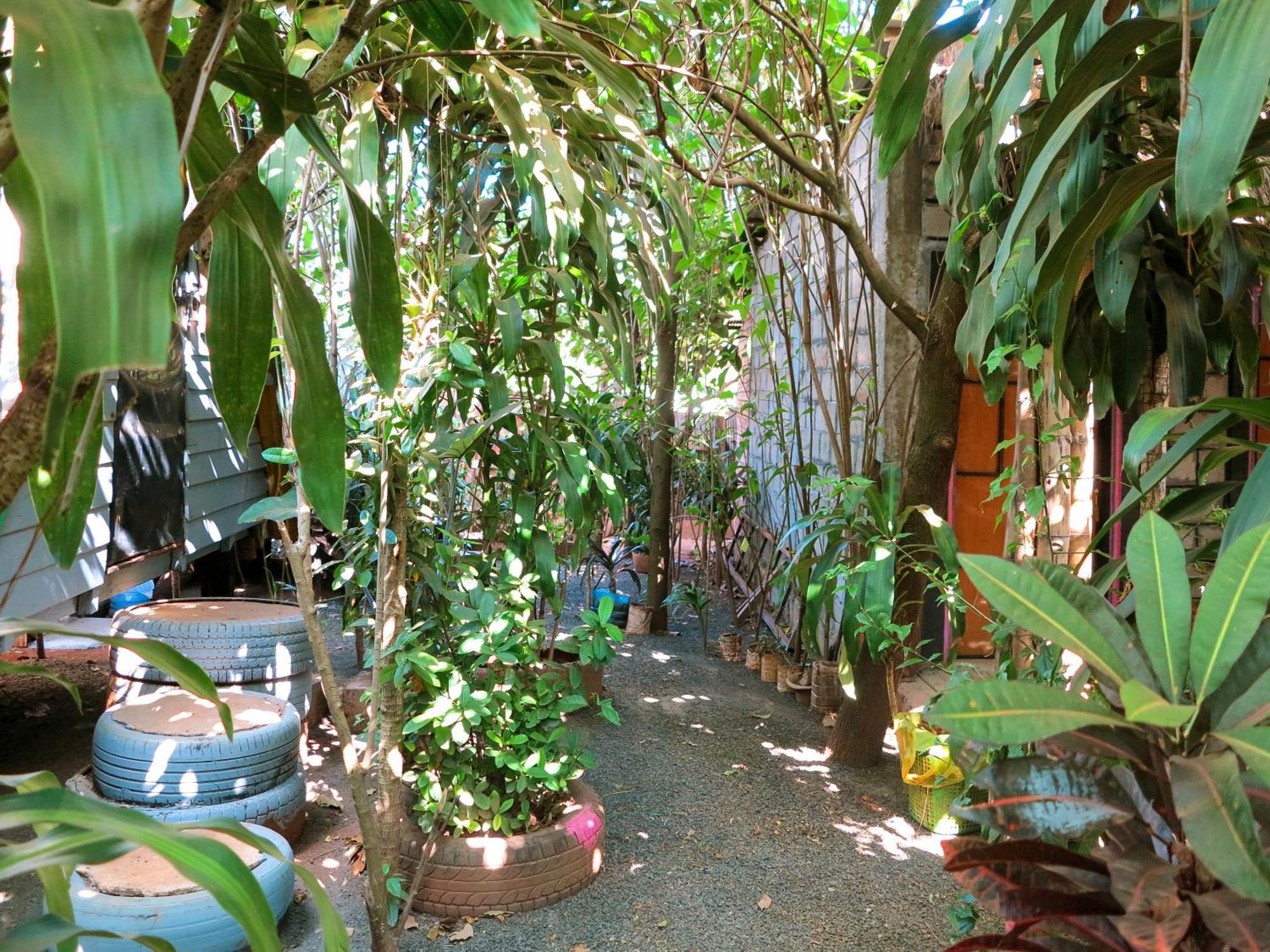 Ratanakiri Homestay & Jungle Trek Banlung Ngoại thất bức ảnh